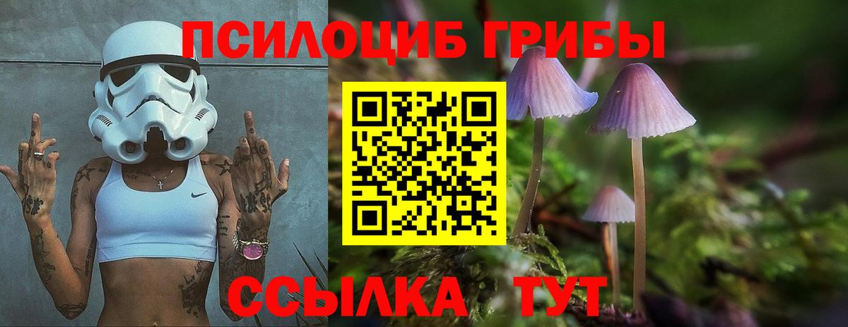 Галлюциногенные грибы Psilocybe  Вход с VPN  Усть-Илимск  Галлюциногенные грибы Cubensis 