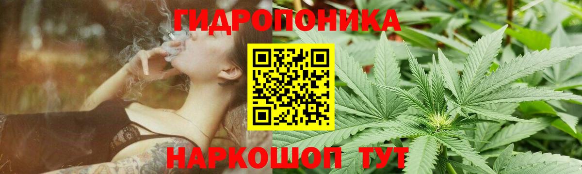 Каннабис OG Kush  Марихуана планчик  Усть-Илимск  Вход с VPN  Бошки Шишки LSD WEED  МАРИХУАНА Bruce Banner 